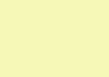 Karteikarten A4 blanko gelb 100 Stück #13326E