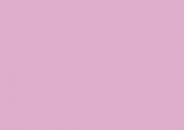 Karteikarten A4 blanko rosa 100 Stück #13336E